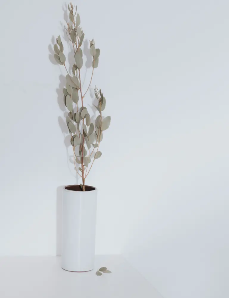 Eucalyptus Spearmint 100 Ml Reed Diffuser - Image 4